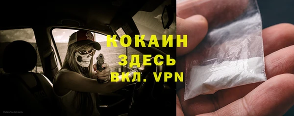 ПСИЛОЦИБИНОВЫЕ ГРИБЫ Корсаков