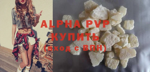 ПСИЛОЦИБИНОВЫЕ ГРИБЫ Корсаков