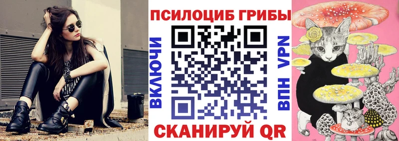 Псилоцибиновые грибы ЛСД  Купить где  Бабаево 